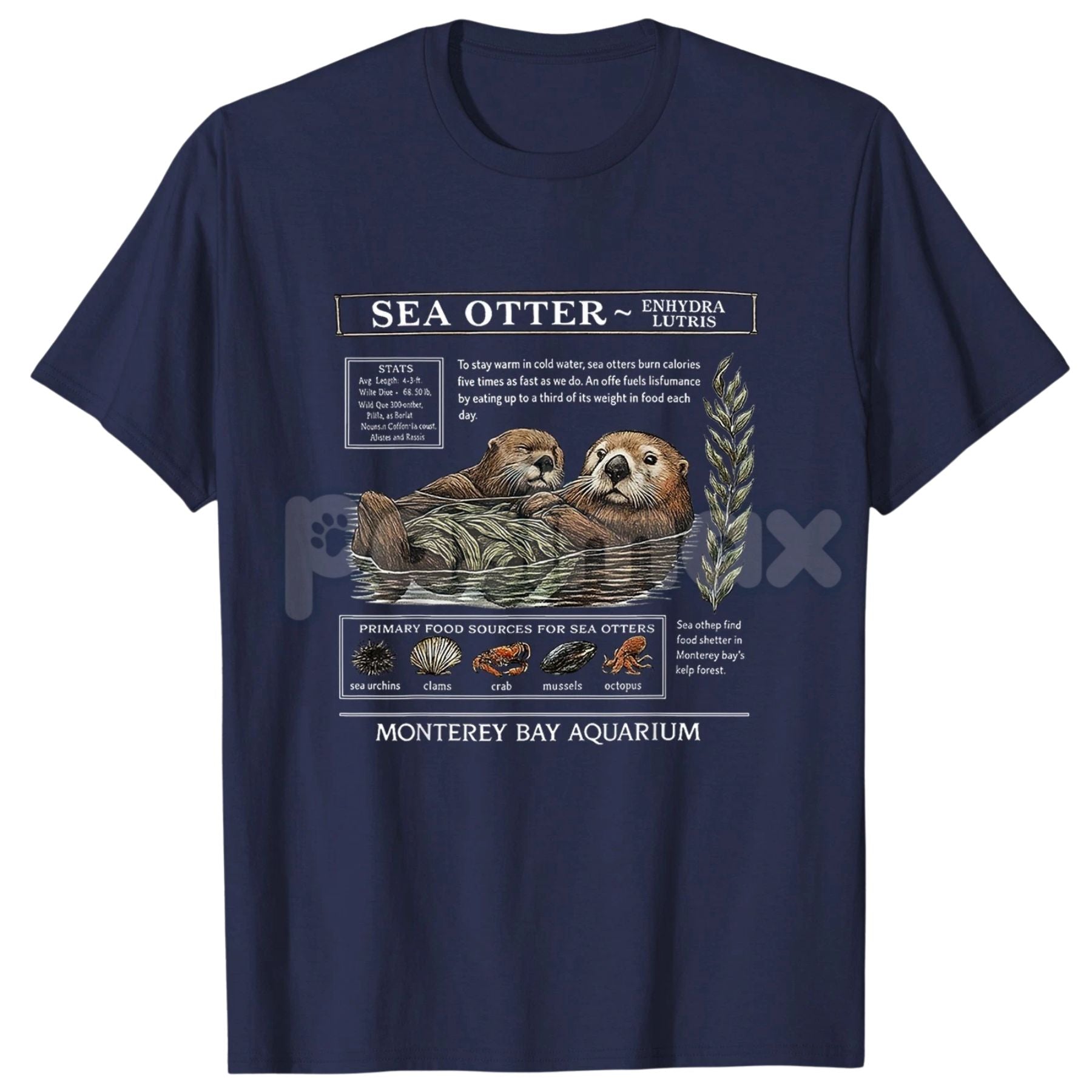 Pasimax Sea Otter Monterey Bay Aquarium T-Shirt — main product shot