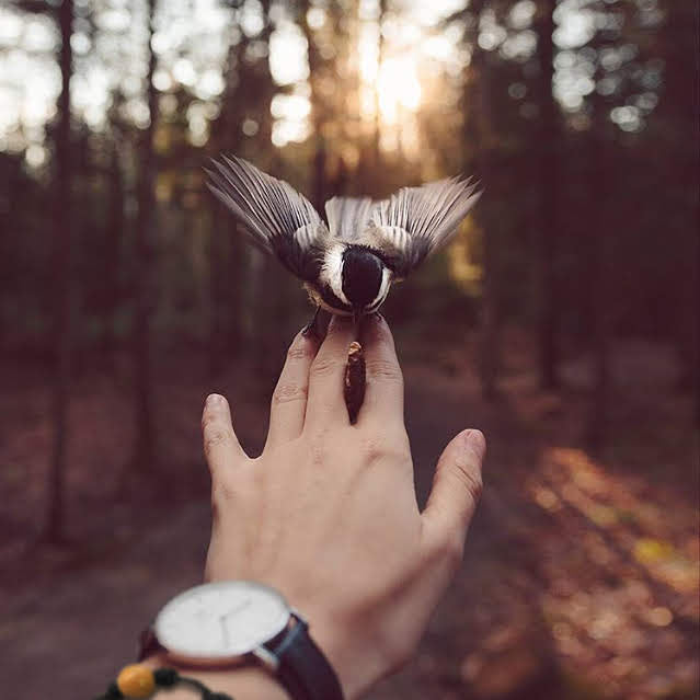 Earth Bands Mountain Life | Earth Vibes — alternative angle