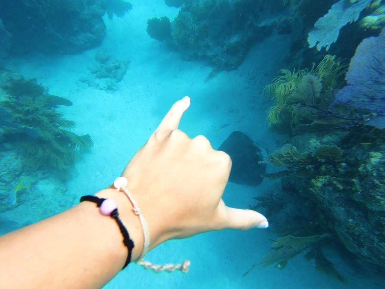 Earth Bands Panama City Beach, FL — jewerly category context